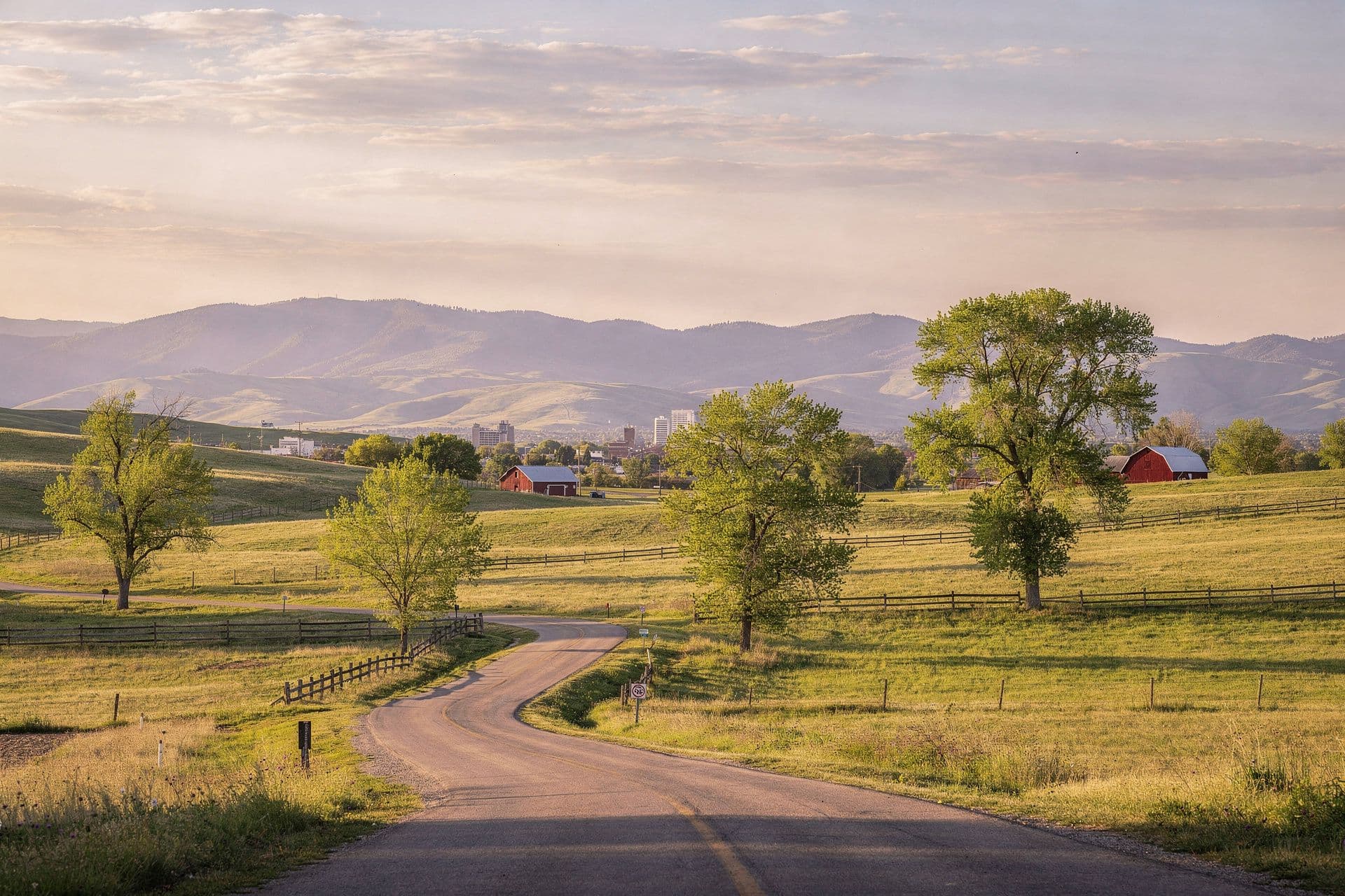 American Business Services